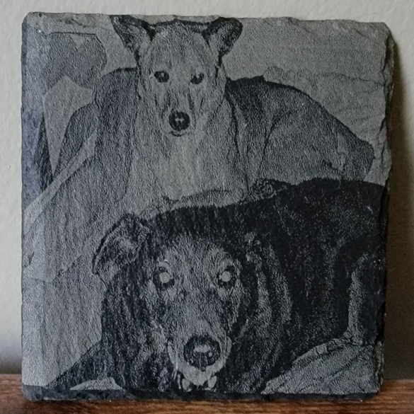 2 Dogs laser engraved on black slate